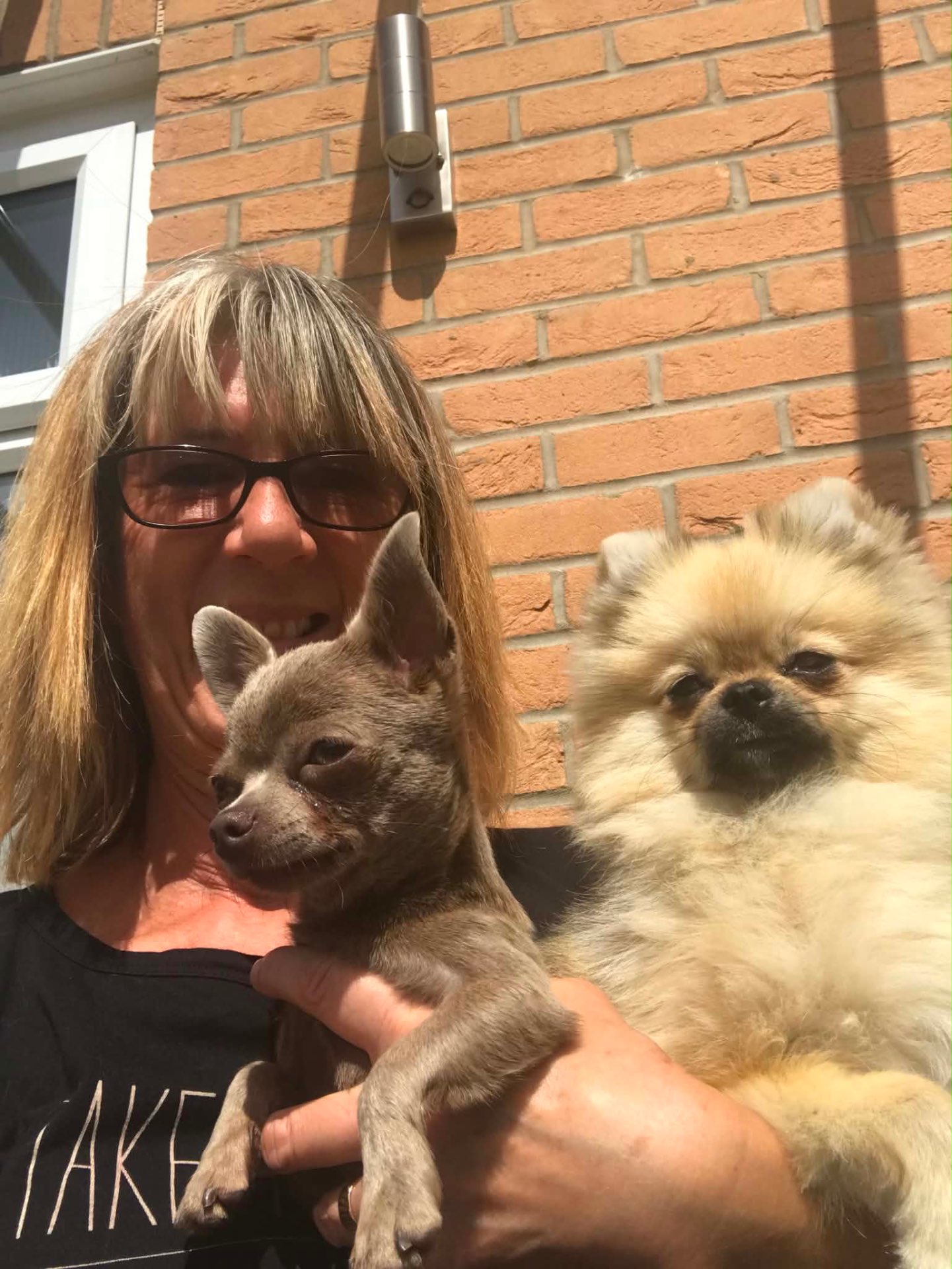 Dog Boarding at Silver Service Pet Care